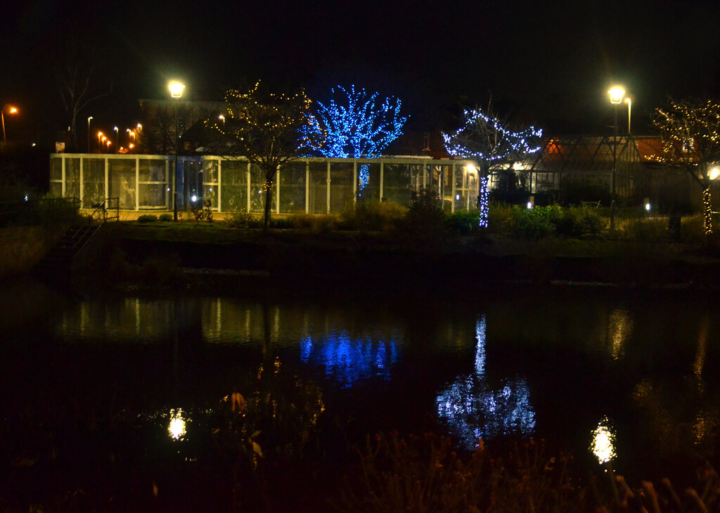 Christmas lights in Victoria Park © Rod Grealish Geograph Britain