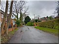 Mustard Lane, Sonning