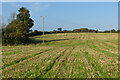 Farmland, St Keverne