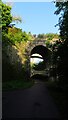 Whiteabbey - Railway Viaducts over Threemilewater