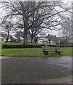 Bench on grass, Croesyceiliog, Cwmbran