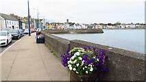 J5980 : Donaghadee - The Parade and Harbour by Colin Park