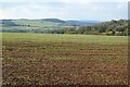 Cotswold farmland