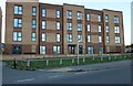 TQ6077 : New flats on London Road, South Stifford by David Howard