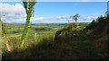 Usk Valley Walk through woodland southwest of Kemeys Folly