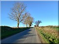 Wide Howe Lane, Asenby