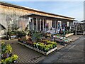 Plants for sale at Notcutts Garden Centre, Norwich