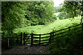 SO5406 : Kissing gate on Offa's Dyke Path by Philip Halling