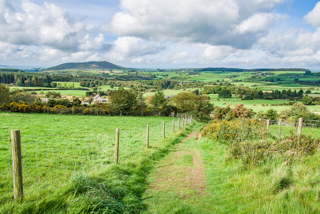 Towards The Bog © Ian Capper :: Geograph Britain and Ireland