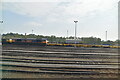 Eastleigh sidings