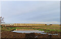 Flooded Farmland