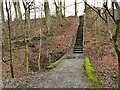 Steps in Chellow Dene woods