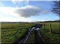 NZ1049 : Muddy track across the field by Robert Graham
