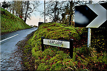H4969 : Leap Lane, Edenderry by Kenneth  Allen