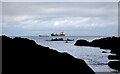 J4682 : Coastline, Helen's Bay by Rossographer