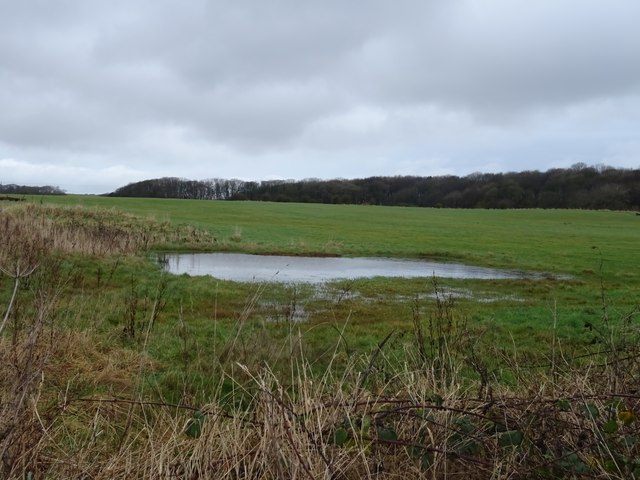 Pond near Daneswood Farm