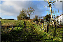 H5366 : Laneway along a field, Laragh by Kenneth  Allen