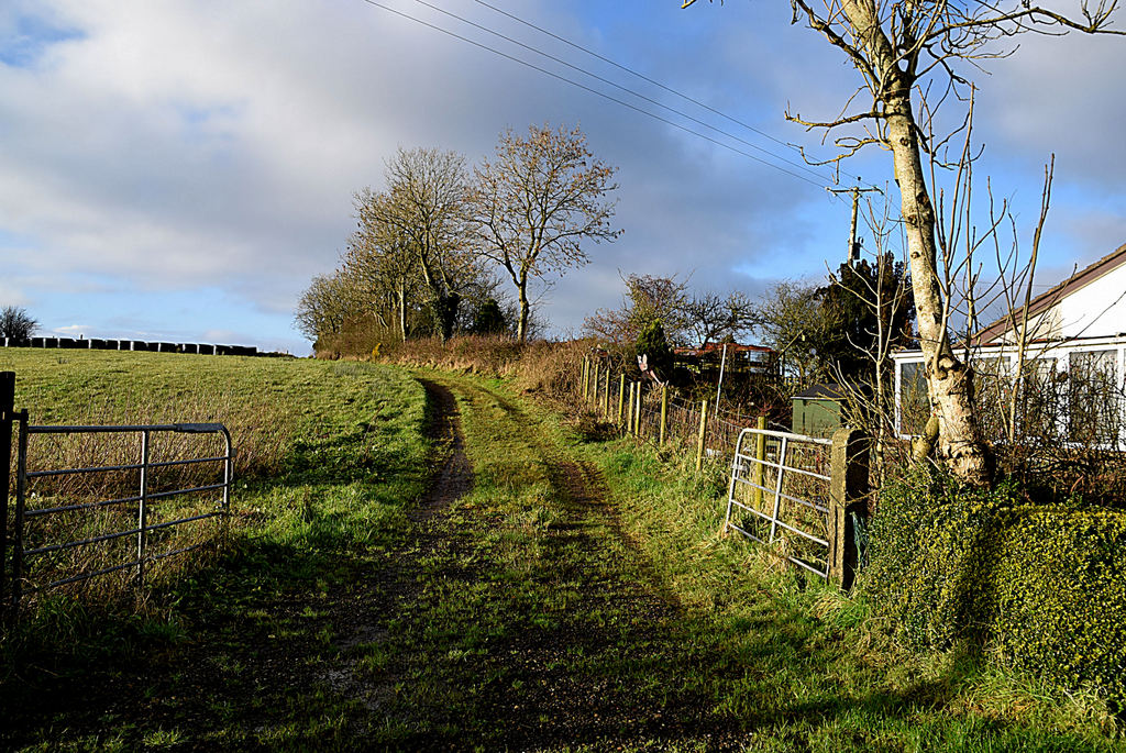 Laneway along a field, Laragh © Kenneth Allen cc-by-sa/2.0 :: Geograph ...