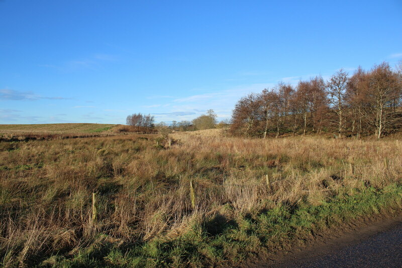 Rough grassland beside the road © Richard Sutcliffe cc-by-sa/2.0 ...