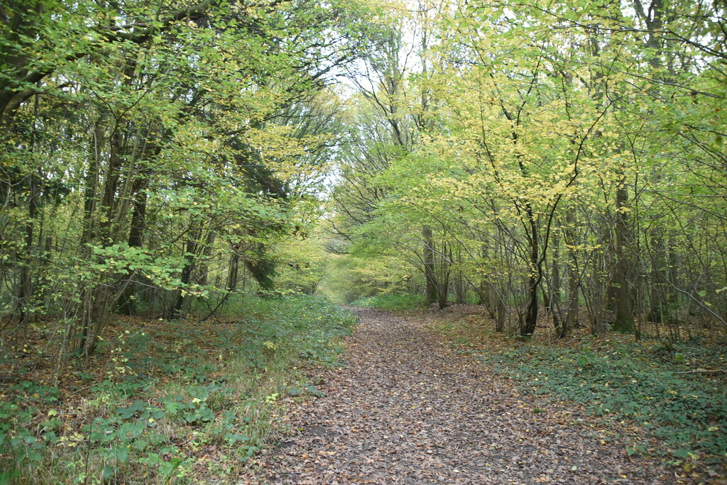 Footpath, Kiln Wood © N Chadwick :: Geograph Britain and Ireland