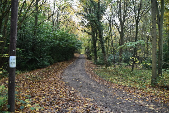 Track, Dene Park © N Chadwick Cc-by-sa 2.0 :: Geograph Britain And Ireland