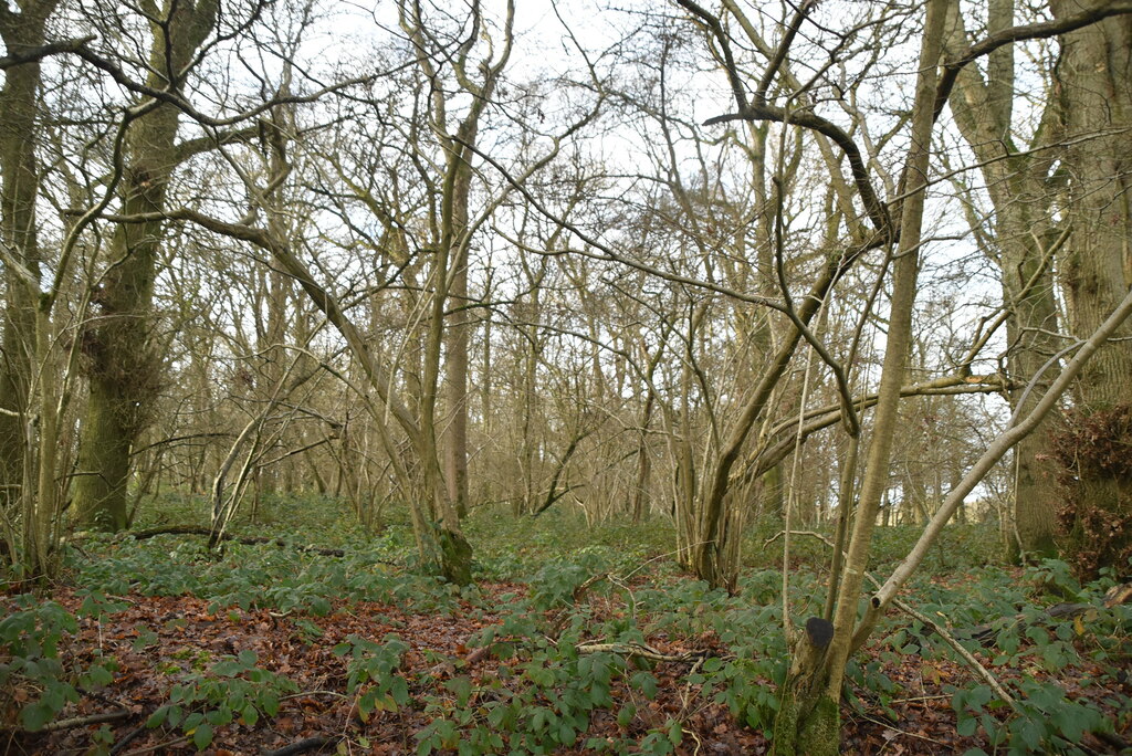 Bird's Hole © N Chadwick :: Geograph Britain and Ireland