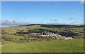 Bedlinog - across Cwm Bargod