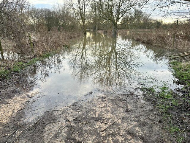 Ferry Lane Cholsey © Bill Nicholls cc-by-sa/2.0 :: Geograph Britain and ...