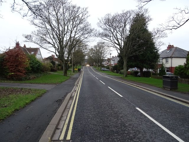 Green Lane © JThomas cc-by-sa/2.0 :: Geograph Britain and Ireland