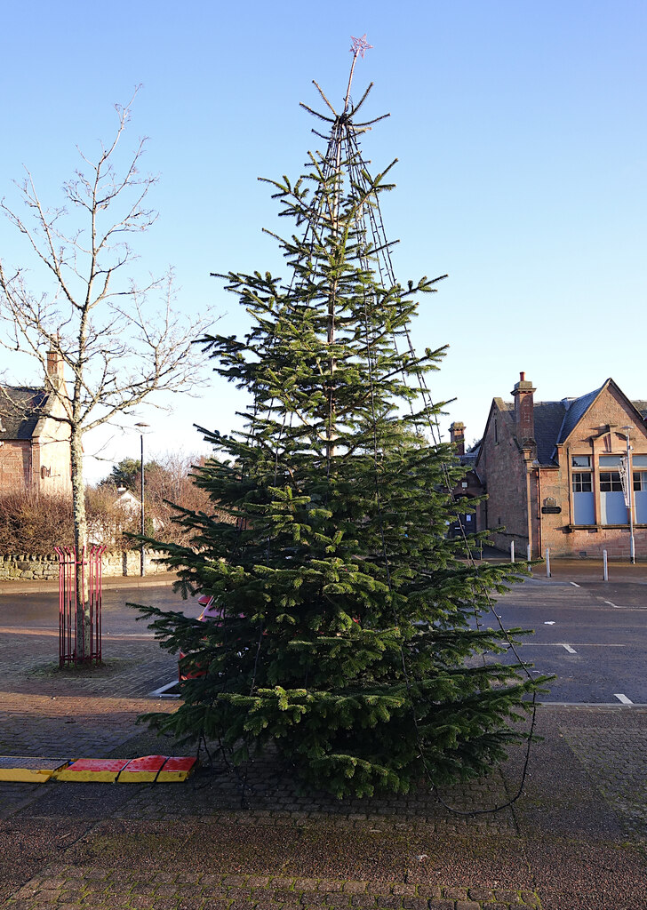 Christmas tree, Muir of Ord © Craig Wallace cc-by-sa/2.0 :: Geograph ...