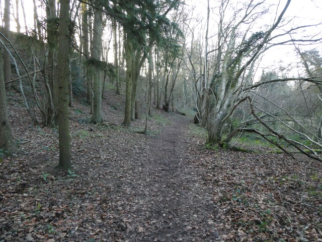 Footpath through King Charles Wood near... © Jeremy Bolwell :: Geograph ...