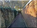 TQ3838 : Alleyway by Barry Hunter
