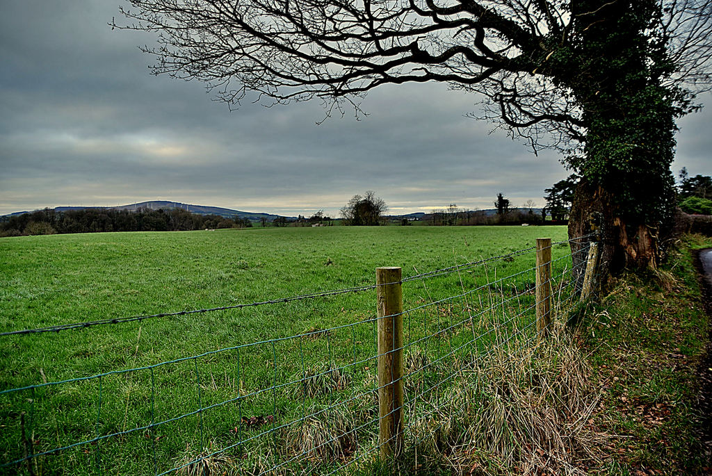 Dark skies, Mountjoy Forest East... © Kenneth Allen :: Geograph Britain ...