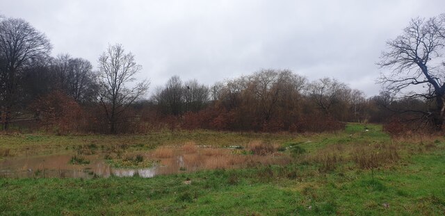 Wetlands in Oakwood Park, London N14
