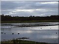 NZ3248 : The main pond at Rainton Meadows by Robert Graham