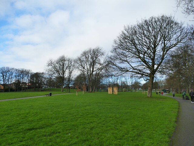 Old and new trees in Cross Flatts Park © Stephen Craven :: Geograph ...