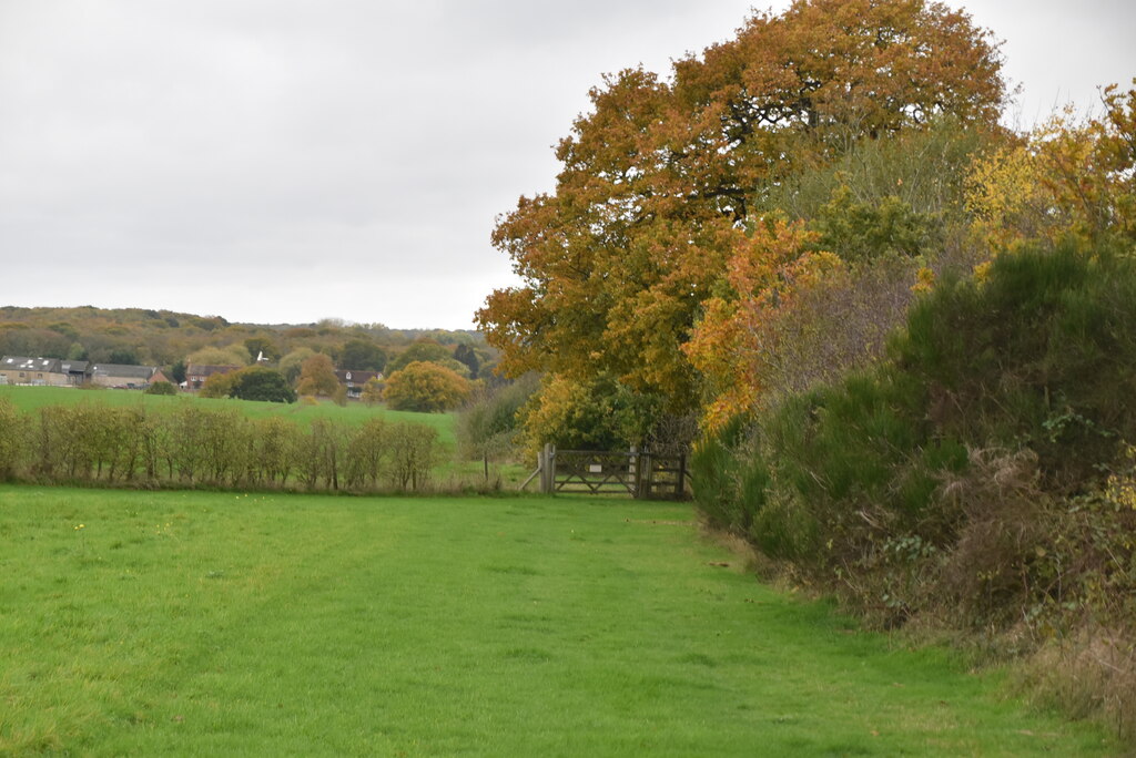 Byway © N Chadwick :: Geograph Britain And Ireland