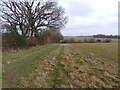 SU4374 : Bridleway towards Rowbury Farm by Oscar Taylor