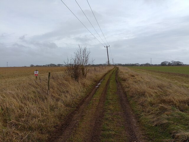 Green Lane © Oscar Taylor cc-by-sa/2.0 :: Geograph Britain and Ireland