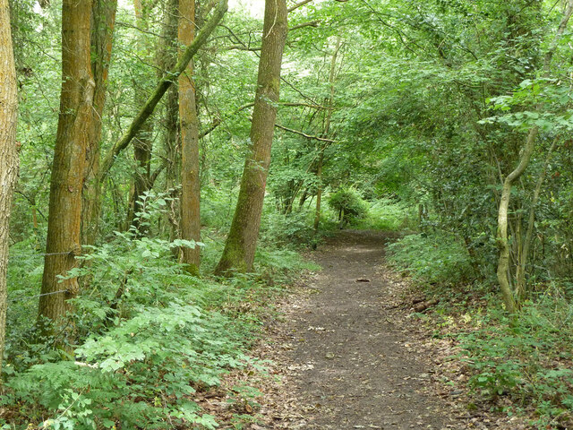 In Book Hurst © Robin Webster :: Geograph Britain and Ireland