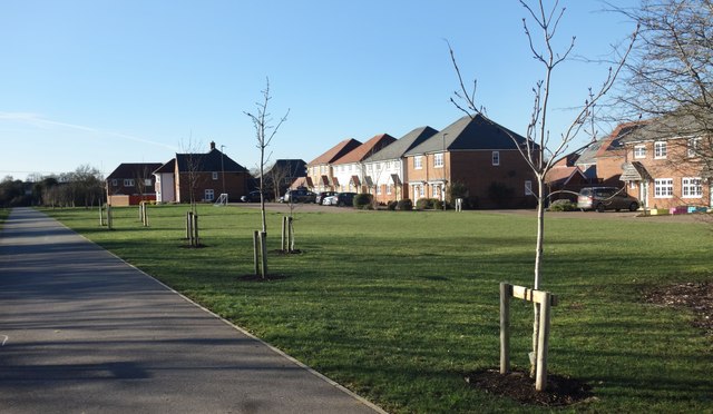 Field Rose, Weston Green © Des Blenkinsopp :: Geograph Britain and Ireland