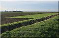 TL4179 : Harvesting turf by Bedingham's Drove by Hugh Venables