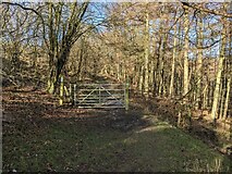 SO4771 : Path to the Mortimer Forest by Fabian Musto