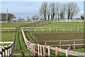 Footpath between paddocks, beside the A359