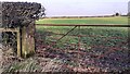 NY2746 : Fields with gateway in hedgerow dividing them SW of The Street by Roger Templeman