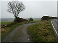 SJ6501 : Interesting scene beside a minor road near Benthall by Jeremy Bolwell