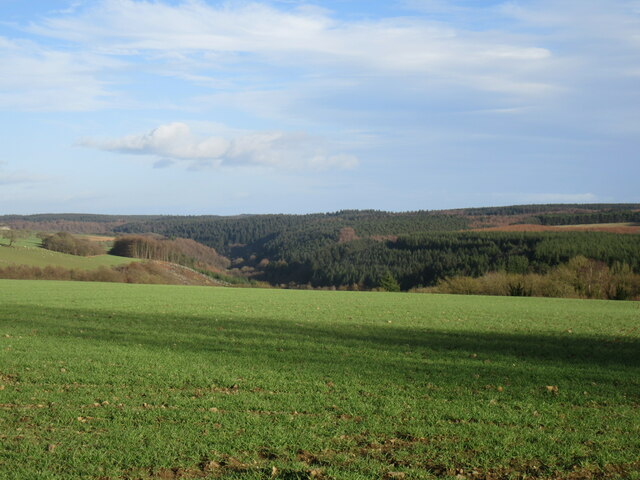 Near Lockton © T Eyre :: Geograph Britain and Ireland