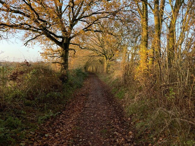 Wayfarer's Walk approaching Deane © Mr Ignavy cc-by-sa/2.0 :: Geograph ...