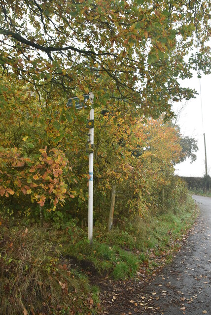 Footpath Off Mace Lane © N Chadwick Cc By Sa20 Geograph Britain And Ireland 0890