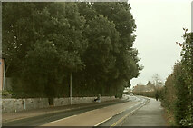 SX9391 : Dryden Road, Exeter by Derek Harper